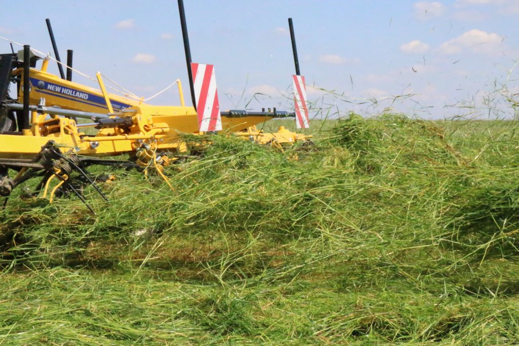 Zielone AGRO SHOW – podsumowanie pokazów maszyn zielonkowych
